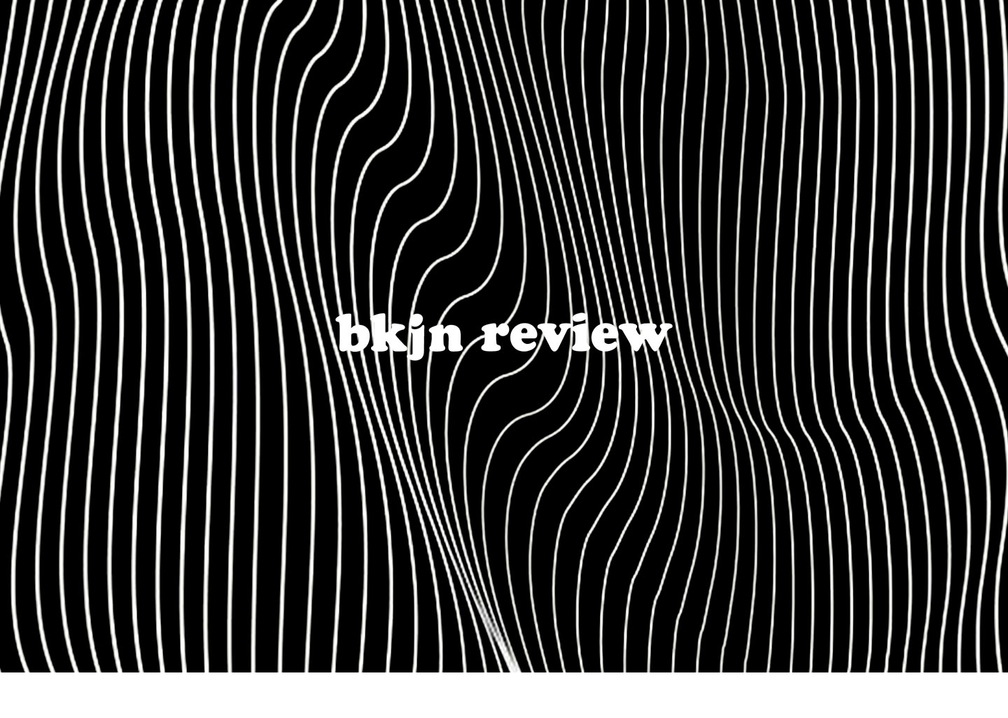 bkjn review — 북저널리즘