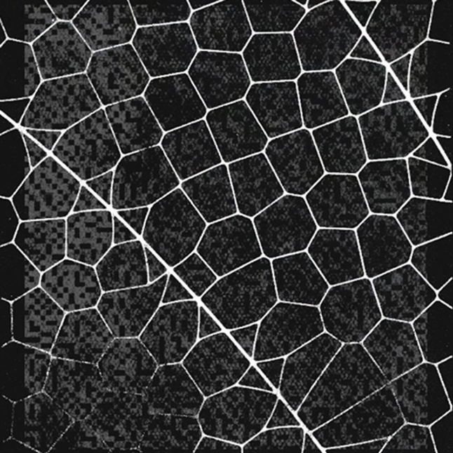 정적 코드의 종말