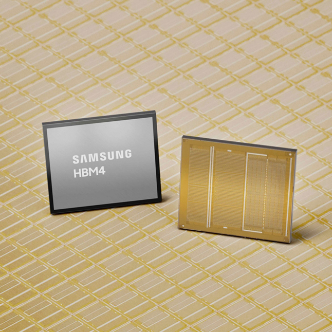 새로운 분배 질서