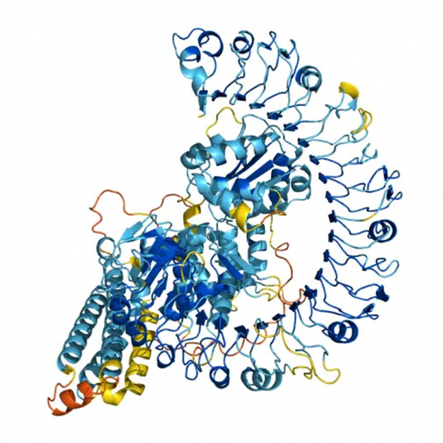 소프트웨어가 되어 가는 약